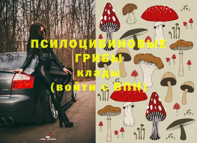 Галлюциногенные грибы MAGIC MUSHROOMS  Порхов 